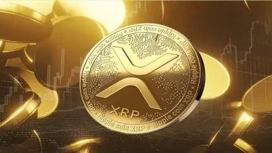 The XRP (XRP) Cryptocurrency working in 2024?